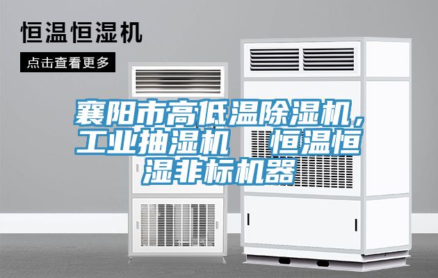 襄陽(yáng)市高低溫除濕機(jī)，工業(yè)抽濕機(jī)  恒溫恒濕非標(biāo)機(jī)器