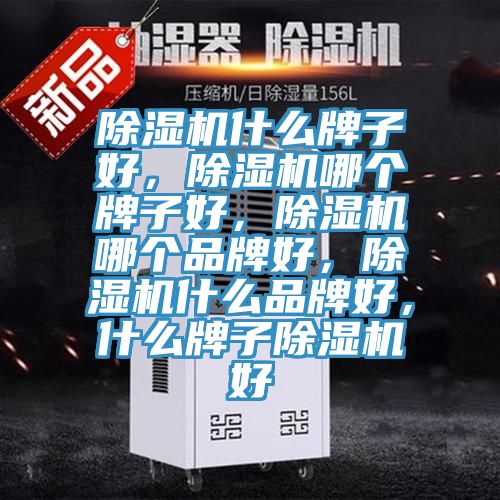除濕機什么牌子好，除濕機哪個牌子好，除濕機哪個品牌好，除濕機什么品牌好，什么牌子除濕機好