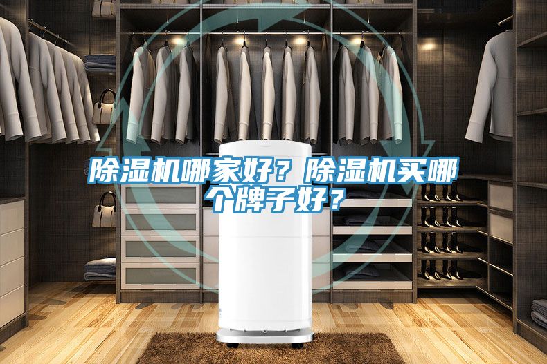 除濕機哪家好？除濕機買哪個牌子好？
