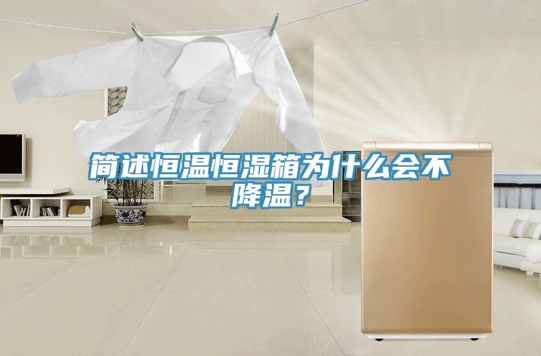 簡述恒溫恒濕箱為什么會不降溫？