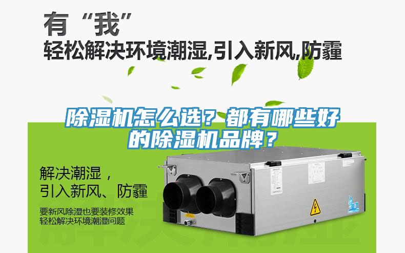 除濕機怎么選？都有哪些好的除濕機品牌？