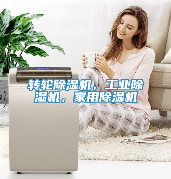 轉輪除濕機，工業(yè)除濕機，家用除濕機