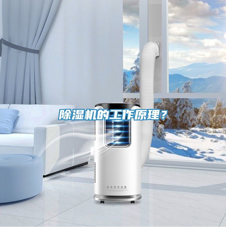 除濕機(jī)的工作原理？