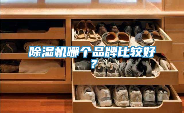 除濕機哪個品牌比較好？