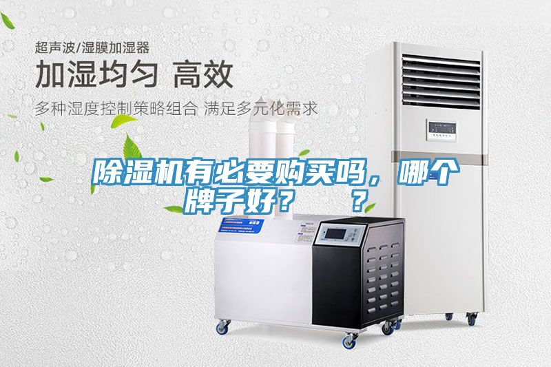 除濕機有必要購買嗎，哪個牌子好？  ？