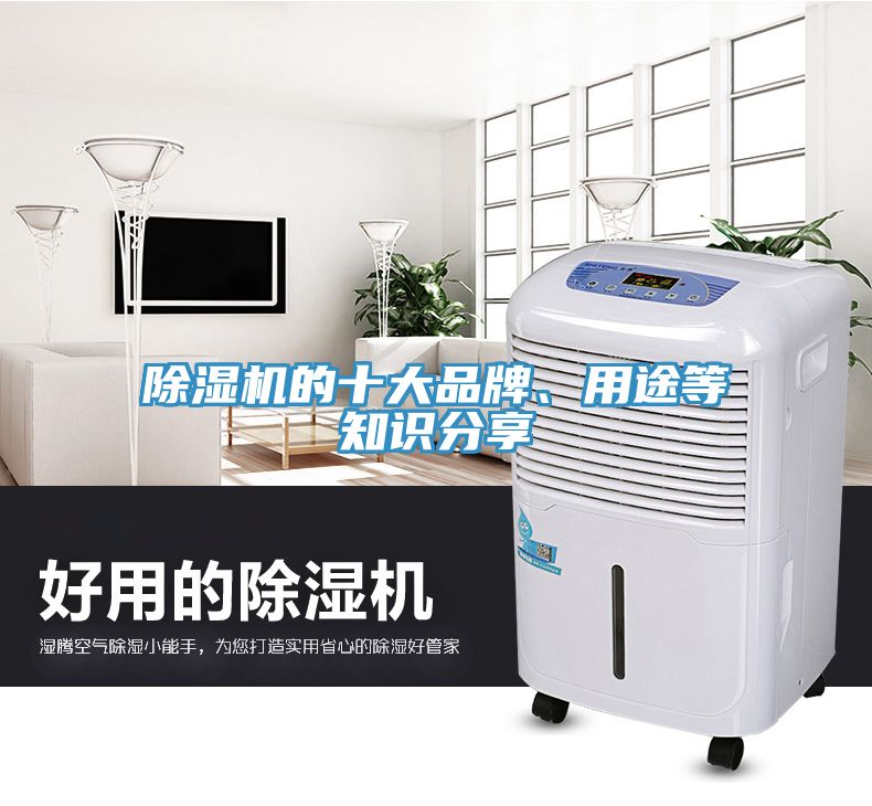除濕機(jī)的十大品牌、用途等知識(shí)分享