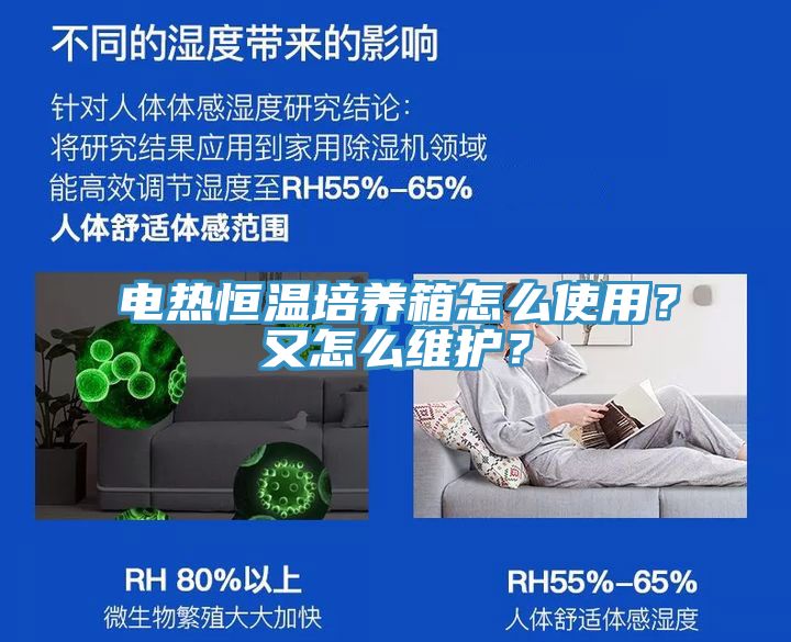 電熱恒溫培養(yǎng)箱怎么使用？又怎么維護(hù)？