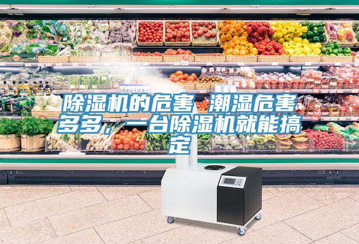 除濕機(jī)的危害 潮濕危害多多，一臺除濕機(jī)就能搞定