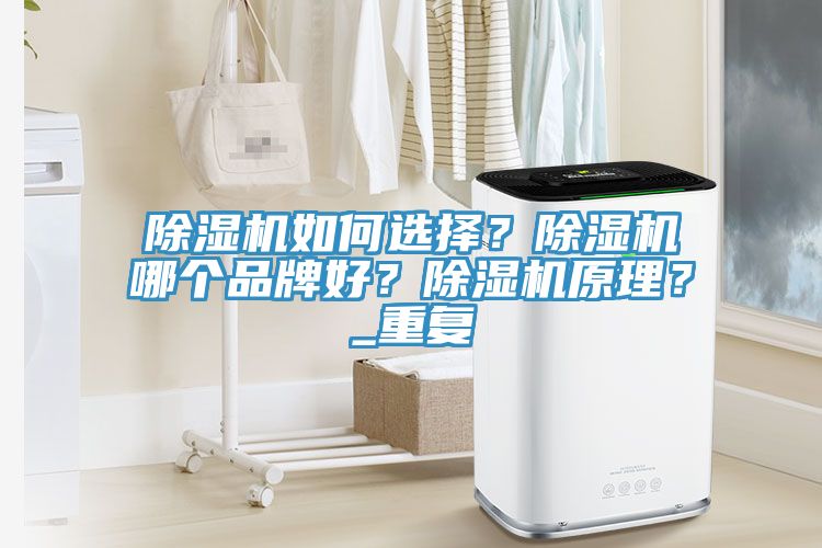 除濕機如何選擇？除濕機哪個品牌好？除濕機原理？_重復