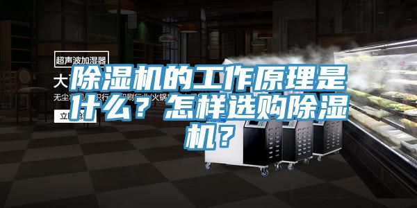 除濕機(jī)的工作原理是什么？怎樣選購除濕機(jī)？