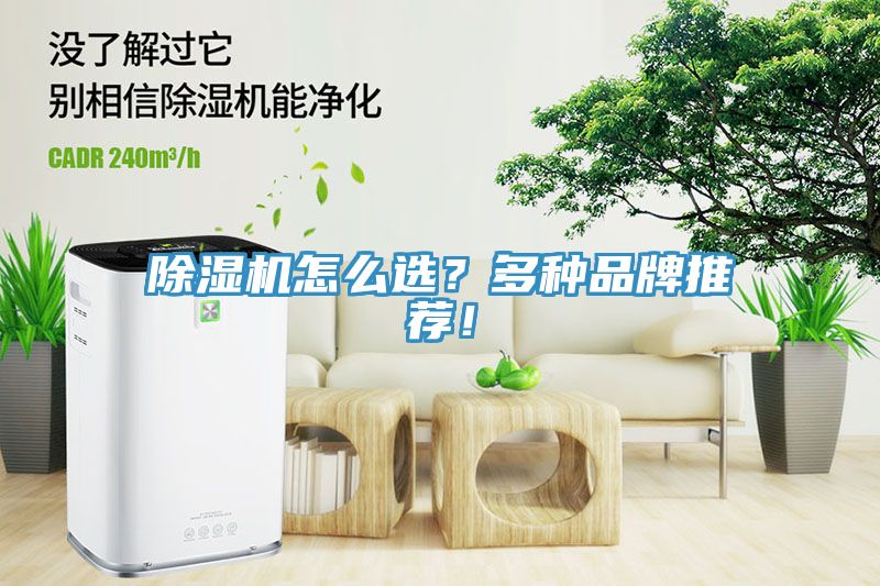 除濕機怎么選？多種品牌推薦！