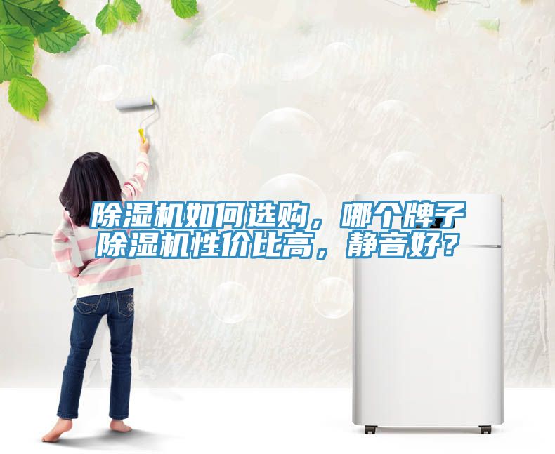 除濕機(jī)如何選購，哪個牌子除濕機(jī)性價比高，靜音好？